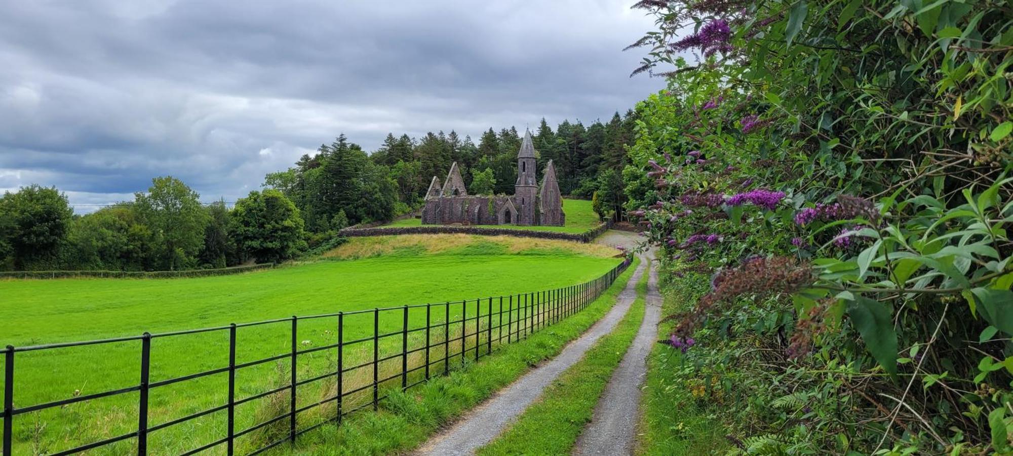 Reed Warbler Cottage Ballinrobe Bagian luar foto